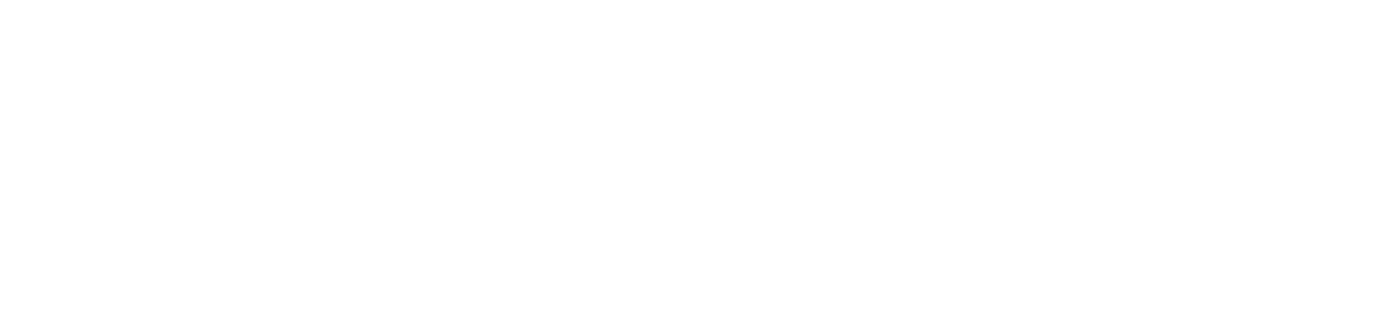 Best Ski Reviewer